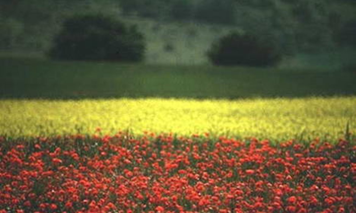 Campeggio La Finoria