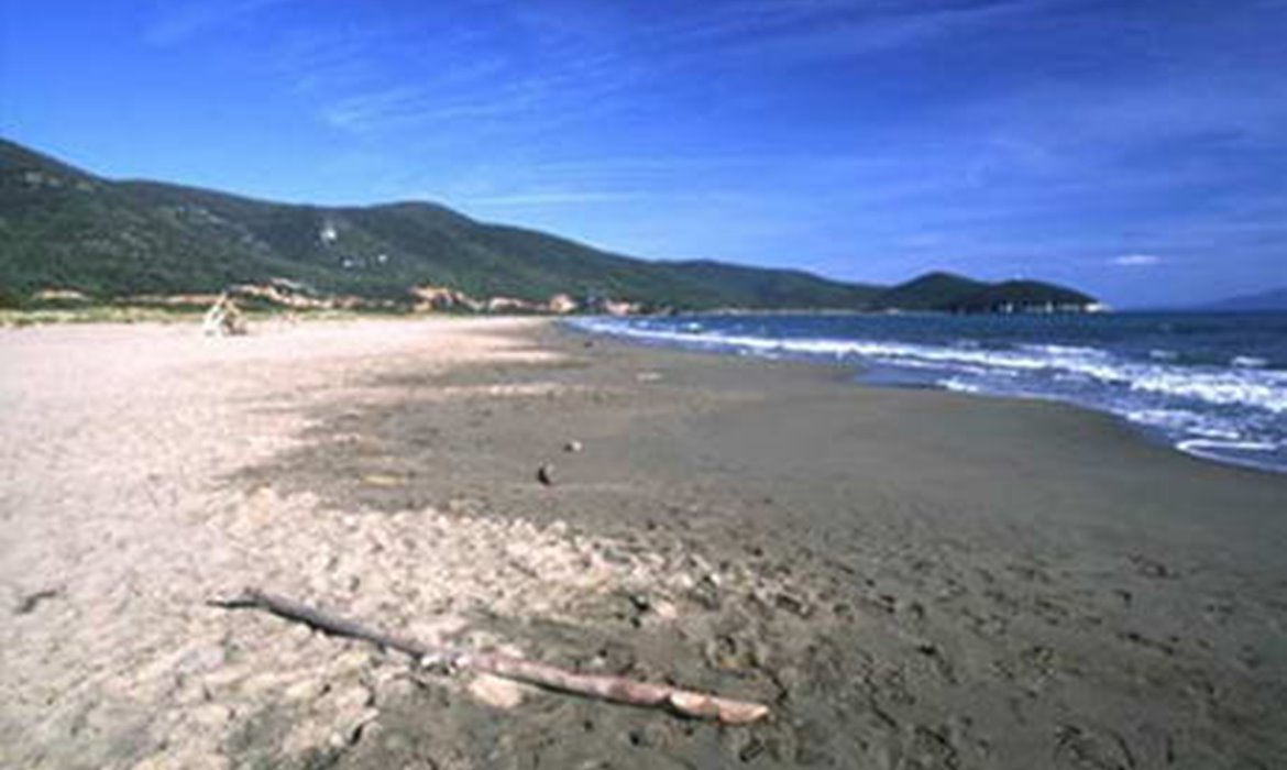 Campeggio La Finoria