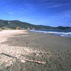 Campeggio La Finoria