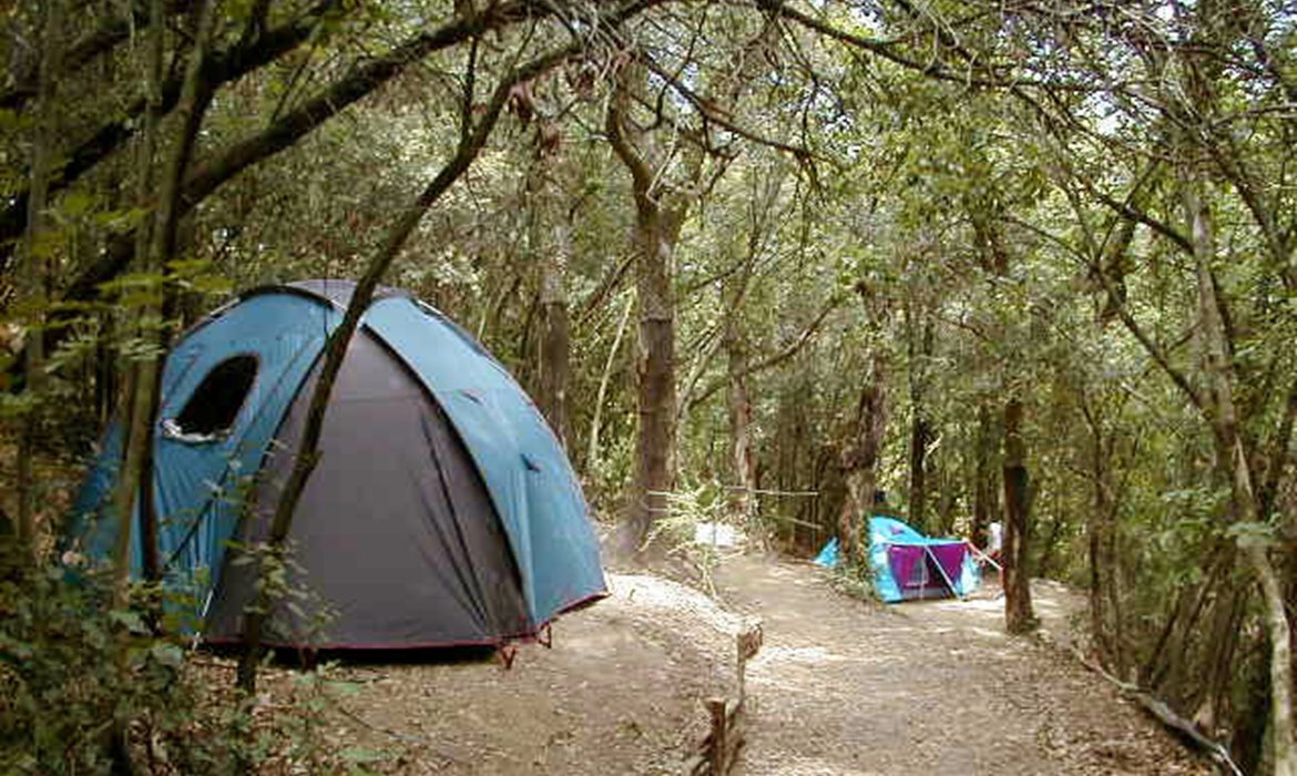 Campeggio La Finoria