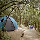 Campeggio La Finoria