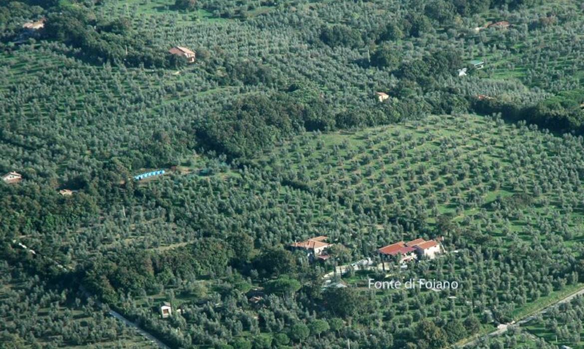 Appartamenti Fonte di Foiano