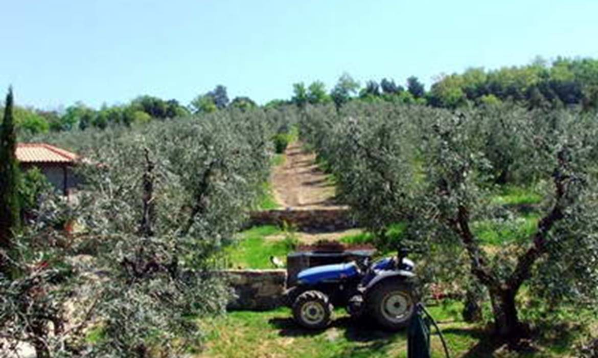 Appartamenti Fonte di Foiano