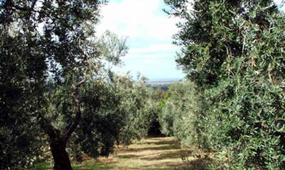 Appartamenti Fonte di Foiano