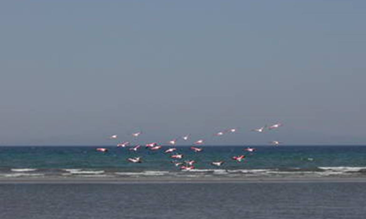 Campeggio Baia dei Gabbiani
