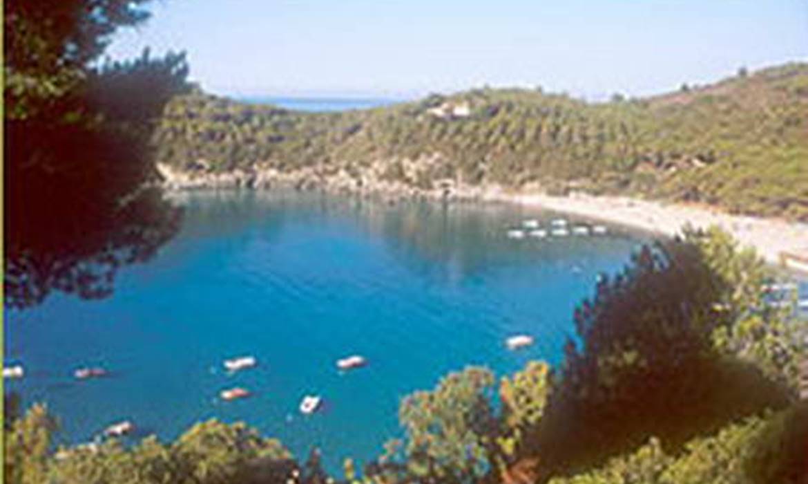 Alberghi Hotel Alma