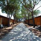 CAMPING VILLAGE OASI