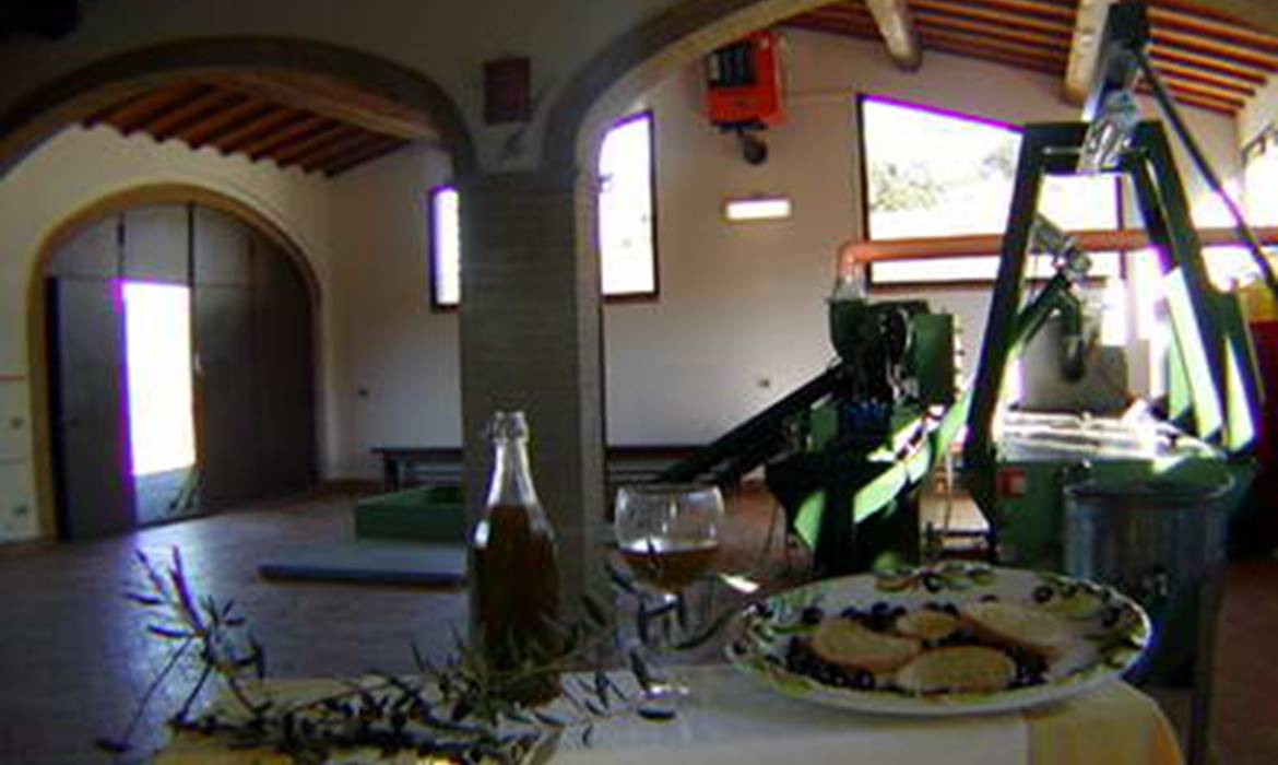 1 Orgiaglia