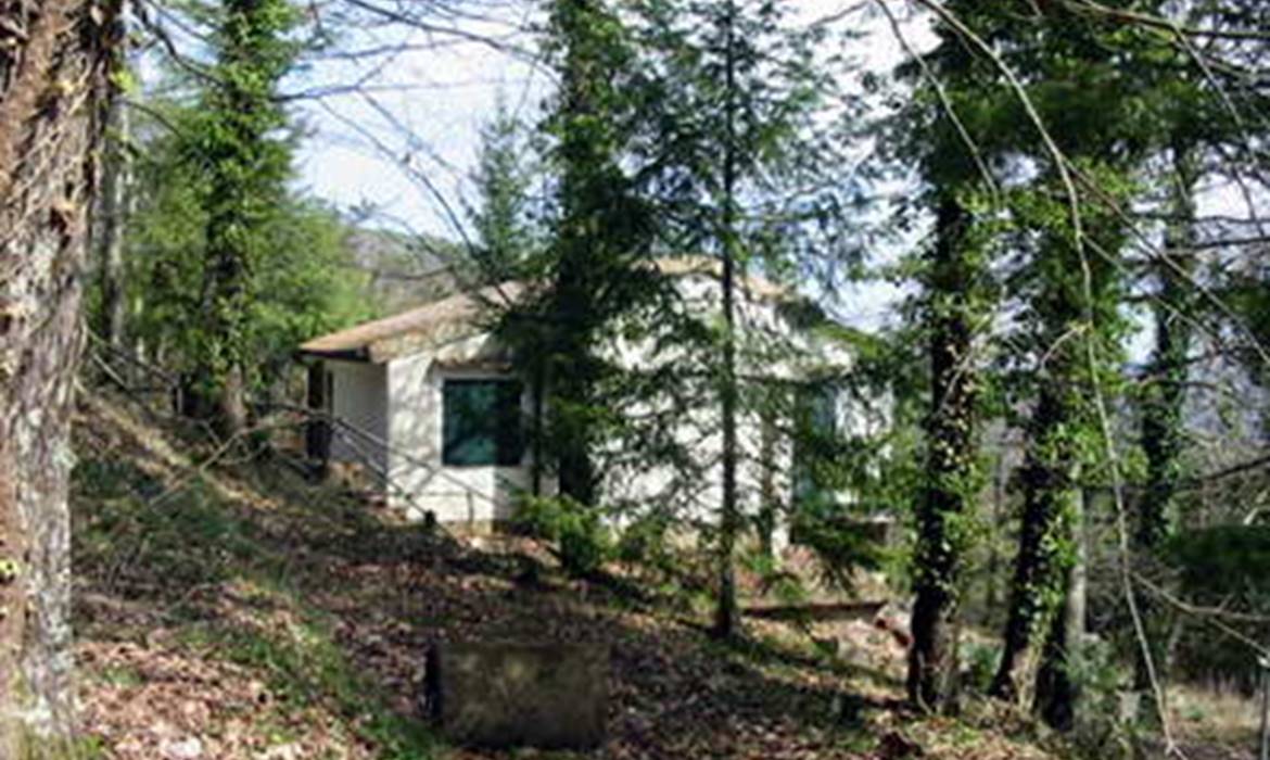 PALAZZETA