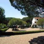 PALAZZETA