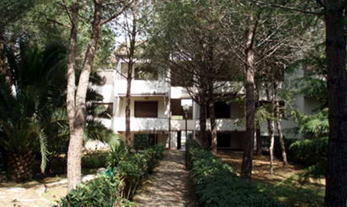 PALAZZETA