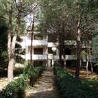 PALAZZETA