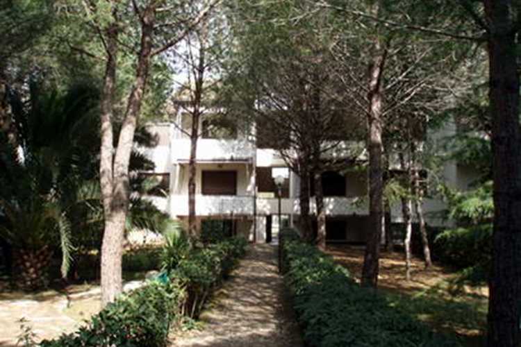 Apartment Immobiliare Palazzeta Vada