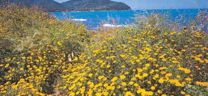 il parco naturale di rimigliano