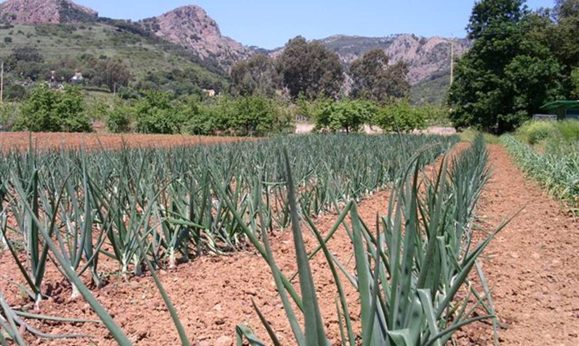 Vacances de ferme Rebua