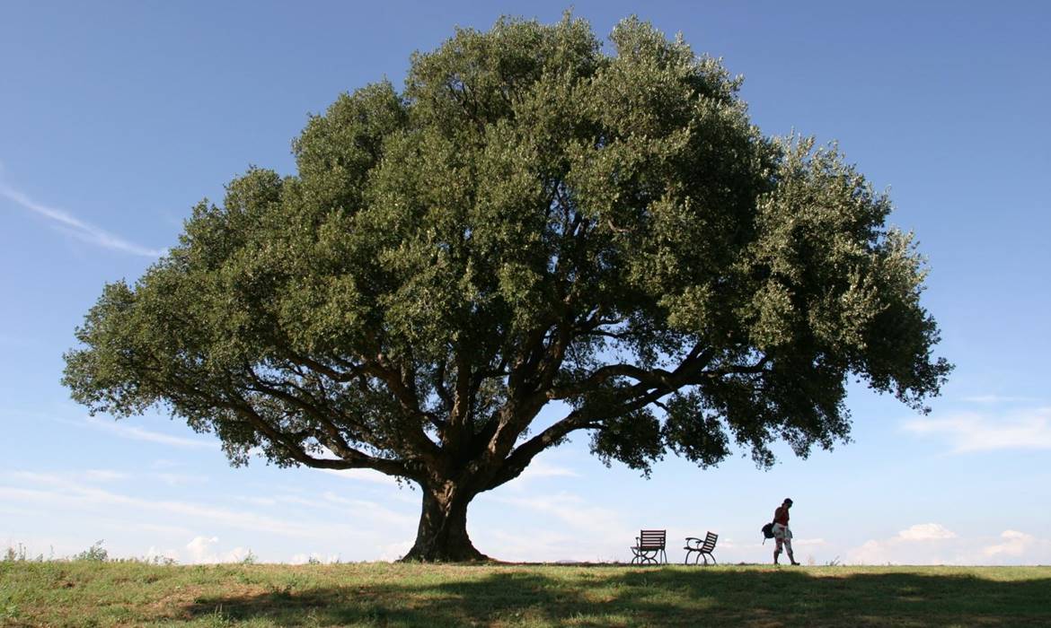 Agriturismo Valliferone