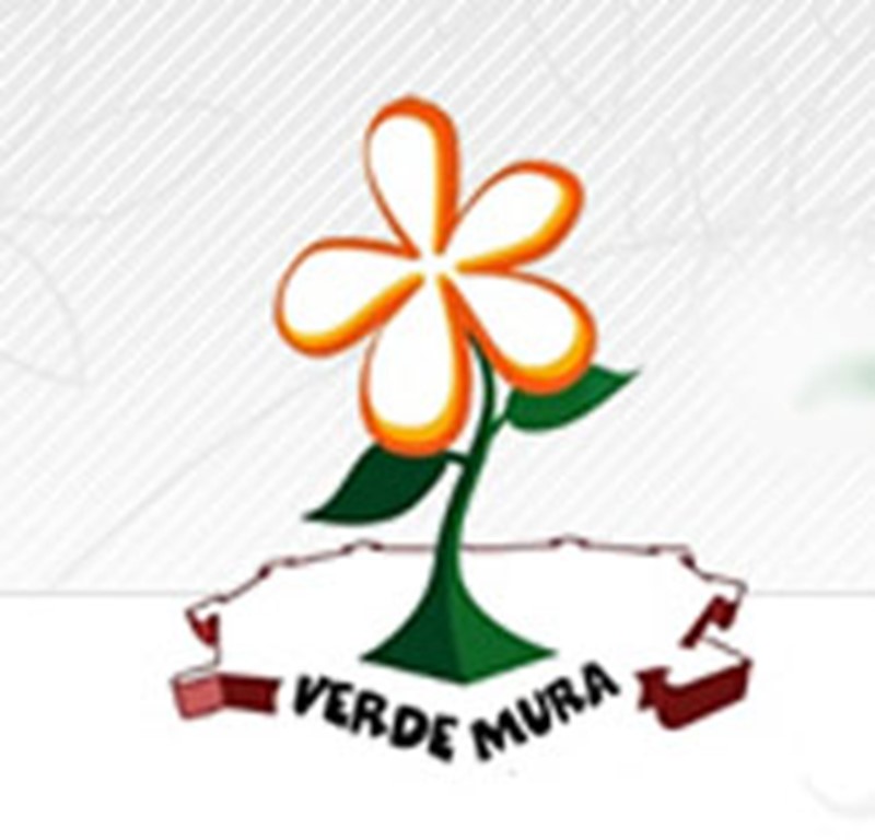 Verdemura 2013